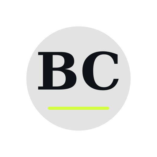 Bror Chimney Services logo